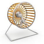 hamster wheel, impeller, job