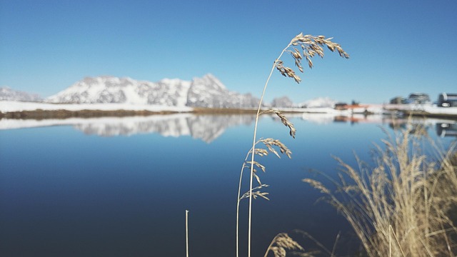Free Winter Lake photo and picture