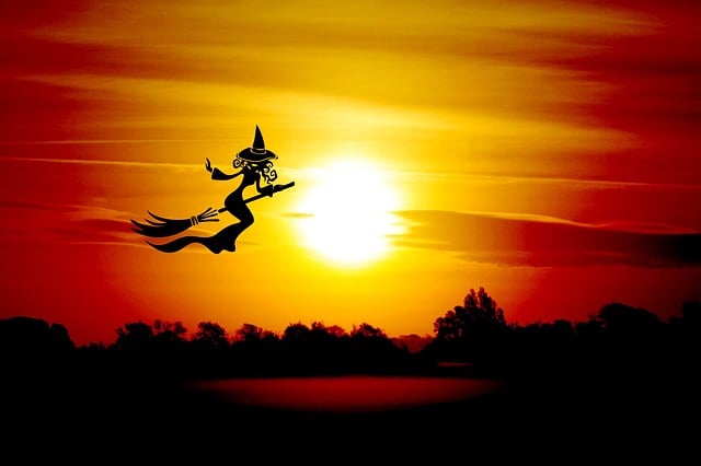 Free halloween witch broom illustration