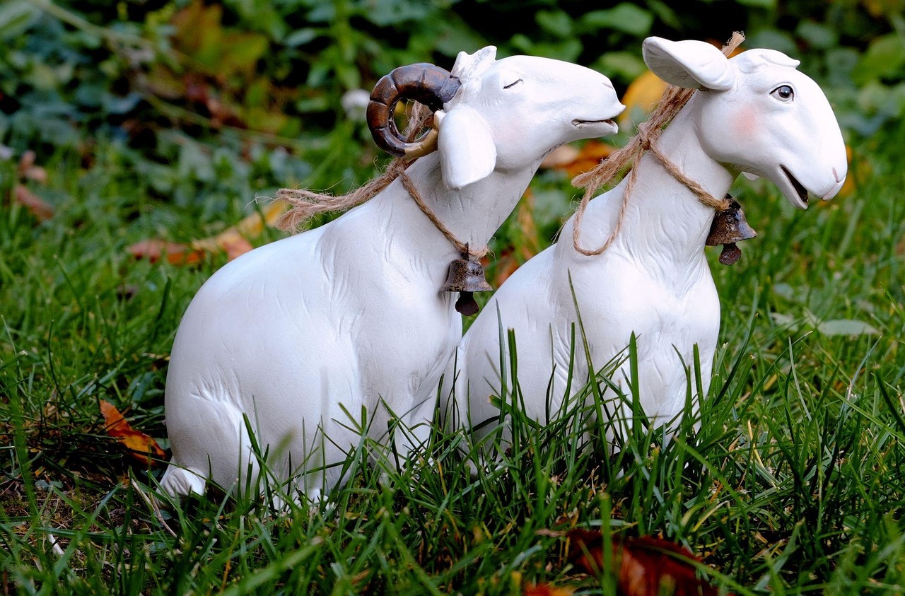 https://cdn.pixabay.com/photo/2015/10/30/21/02/sheep-1014748_1280.jpg