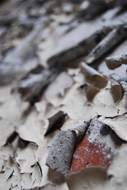 Free Paint Peeling photo and picture