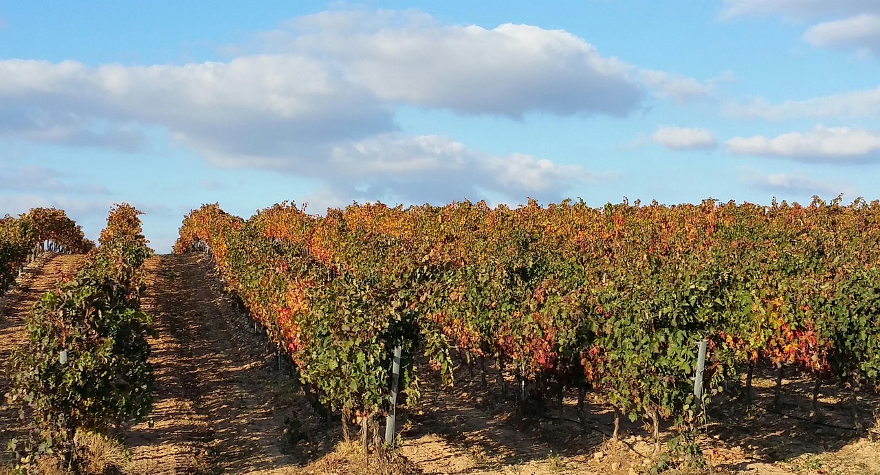 La rioja Best wine regions in Europe