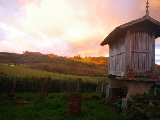 Free Field Sunset photo and picture