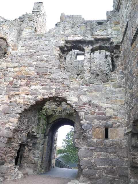 Free Ruin Chateau photo and picture