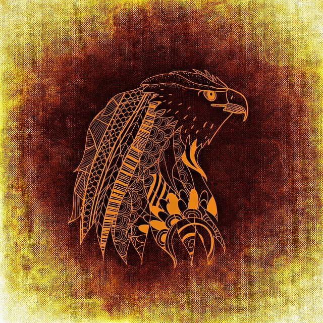 Free eagle bird flying illustration