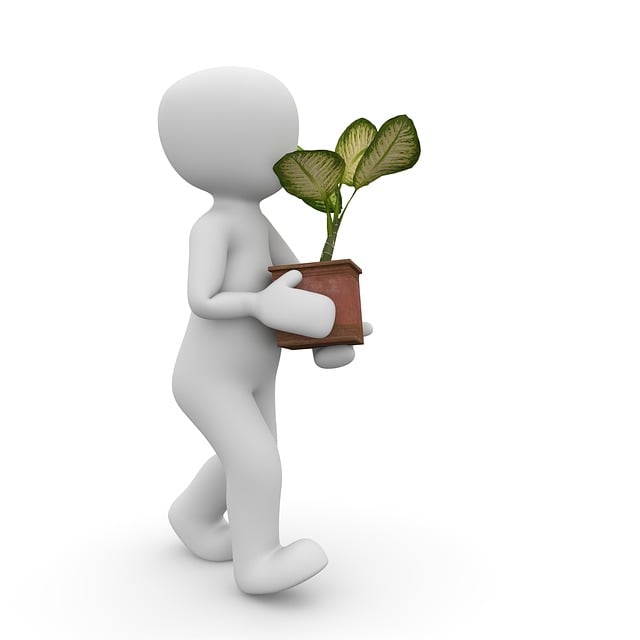 Free plant pot flower illustration