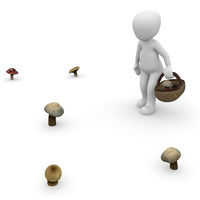 Free mushrooms collect fall illustration