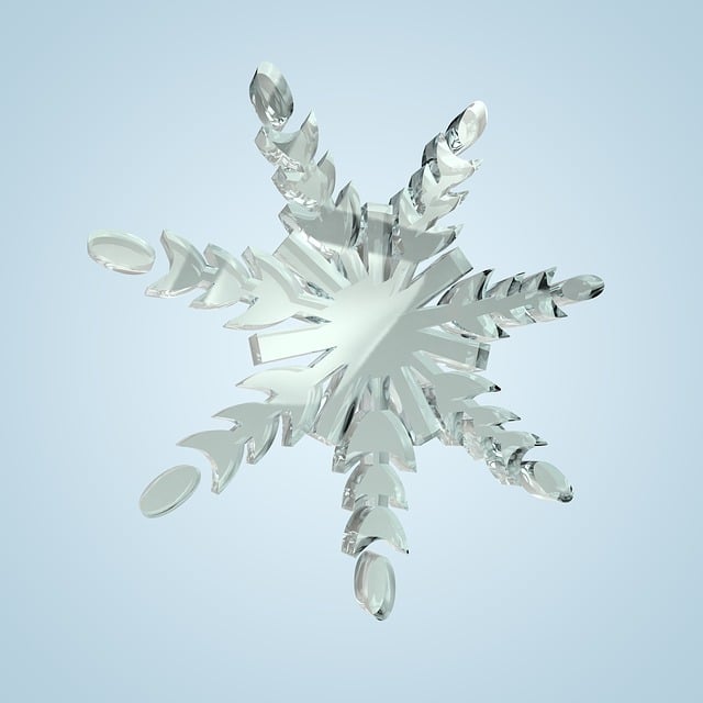Free snow snowflake flake illustration
