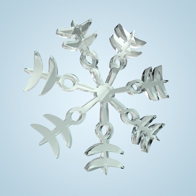 Free snow snowflake flake illustration