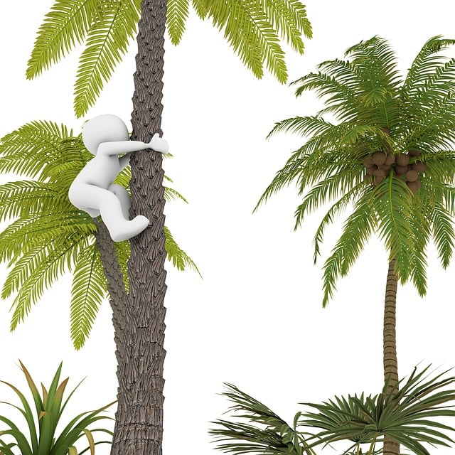 Free palm tree vacations beach illustration