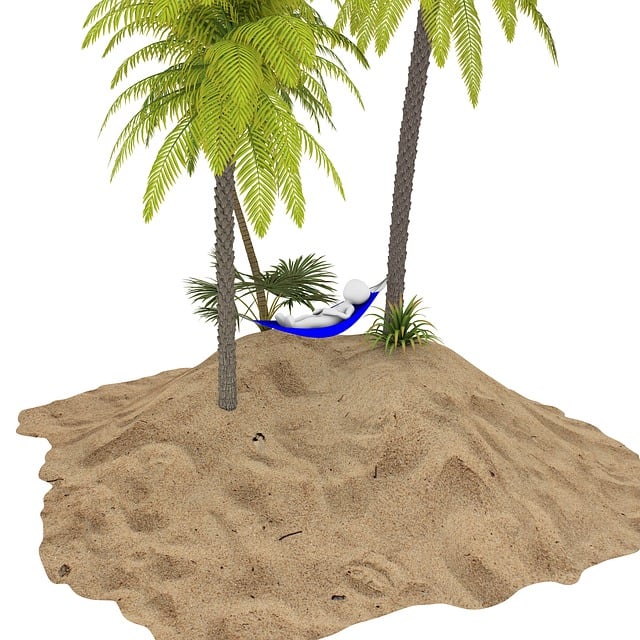 Free palm tree vacations nature illustration
