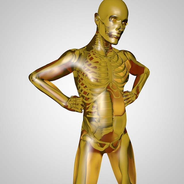 Free body medicine health illustration