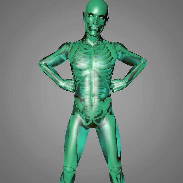 Body Medical Health · Free image on Pixabay