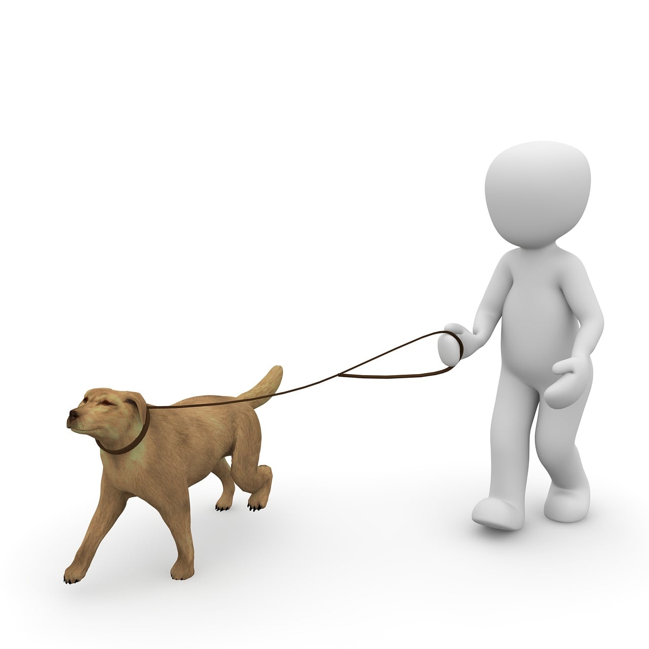 犬 トランシーバー 歩く Pixabayの無料画像