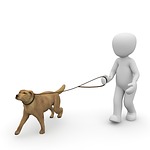 dog, gassi, go