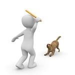 dog, gassi, go