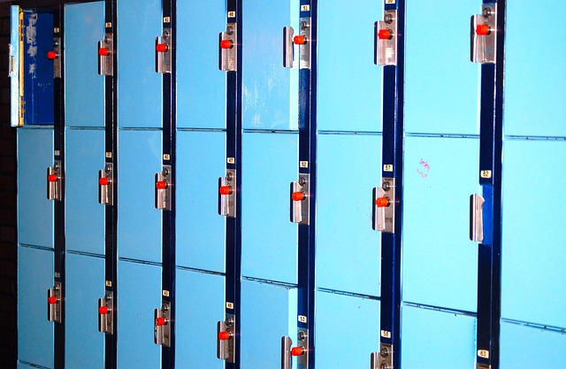 Free Blue Lockers School Lockers photo and picture