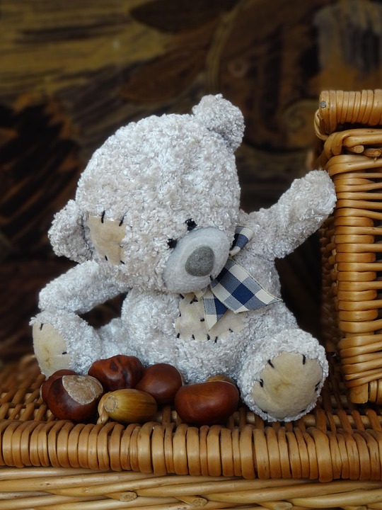 Teddy Bear The Mascot Plush - Free photo on Pixabay - Pixabay