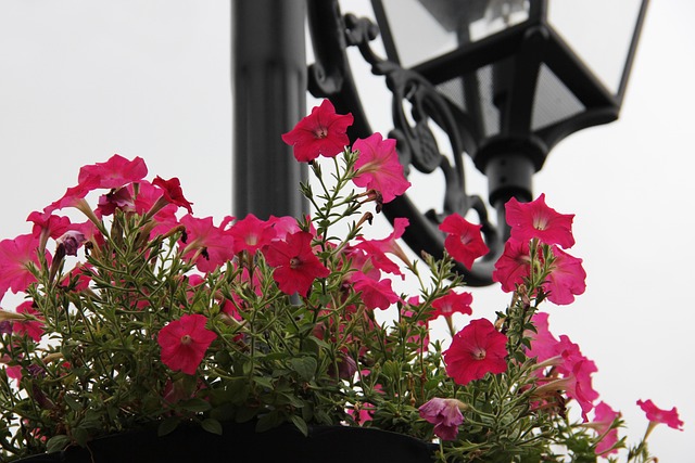 Free Flower European Style Lamp photo and picture
