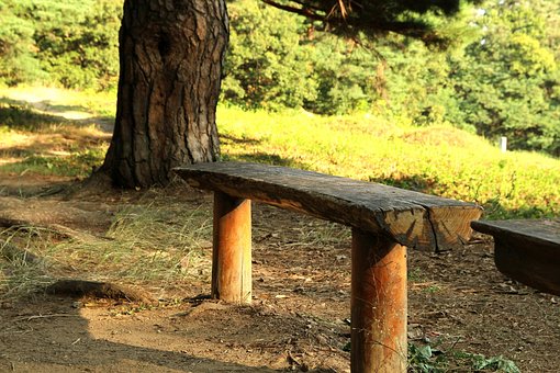 Free Forest Bench photo and picture