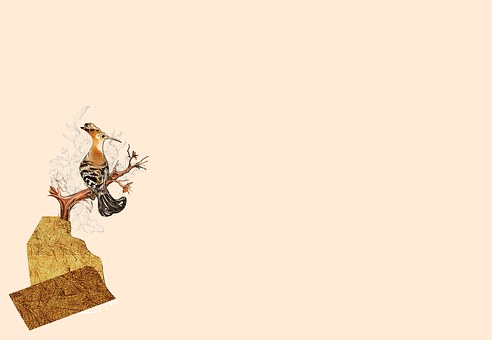 Free Branch Little Bird illustration and picture