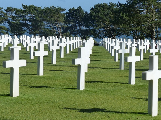 Free Graveyard Cross photo and picture