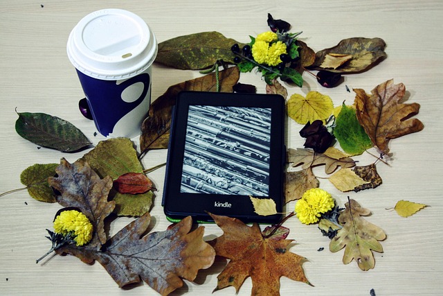 Free Kindle Pepper White photo and picture