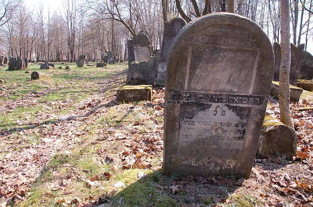 Free Jewish Cemetery Szydlowiec photo and picture