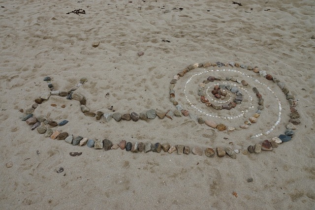 Free Snail Beach photo and picture