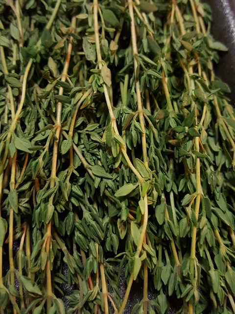Free Thyme Green photo and picture