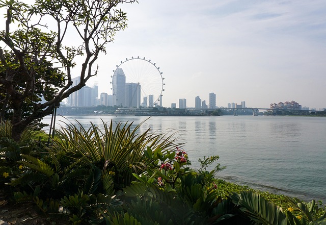 Free Singapore Flyer photo and picture