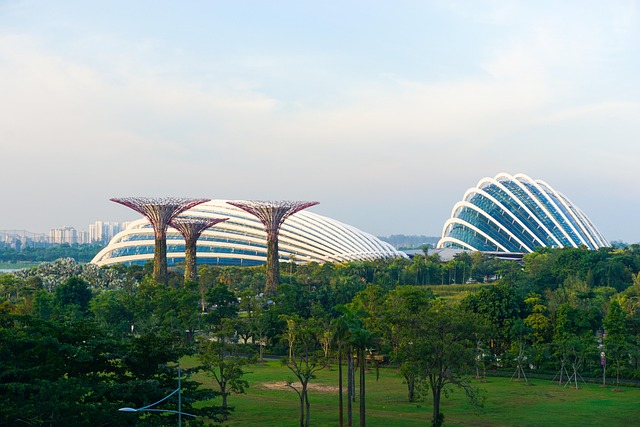 Free Singapore Flower photo and picture