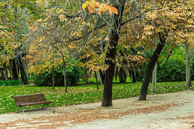 Free Autumn Green photo and picture