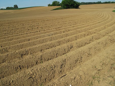 Free Field Plow photo and picture