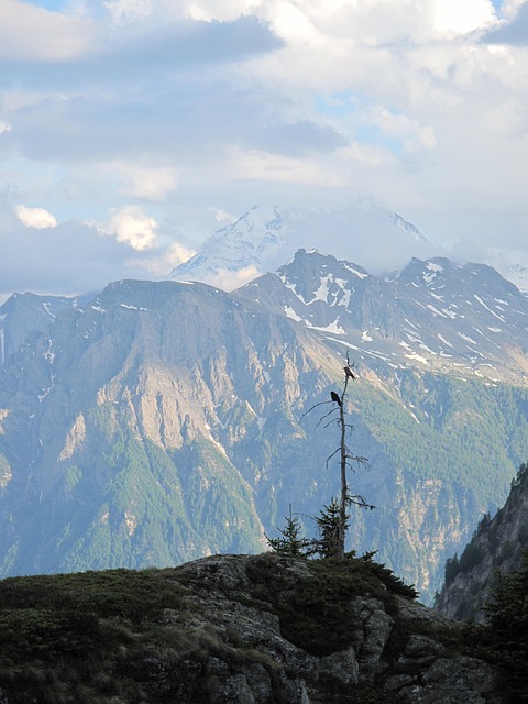 Free Switzerland Mountains photo and picture