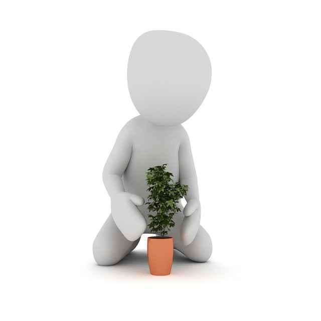 Free plant pot flower illustration