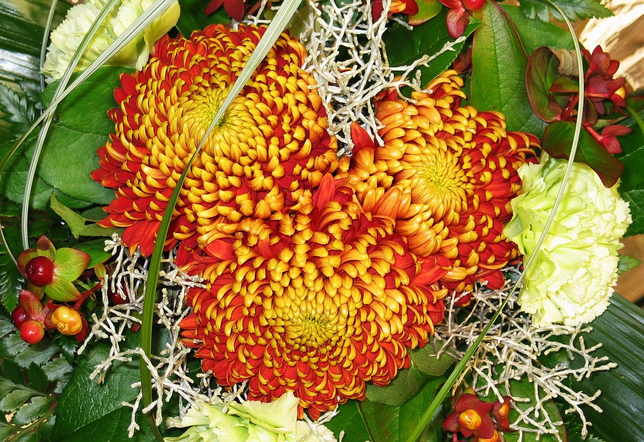 Bos Bloemen Kwekerij Chrysanten - Gratis foto op Pixabay - Pixabay