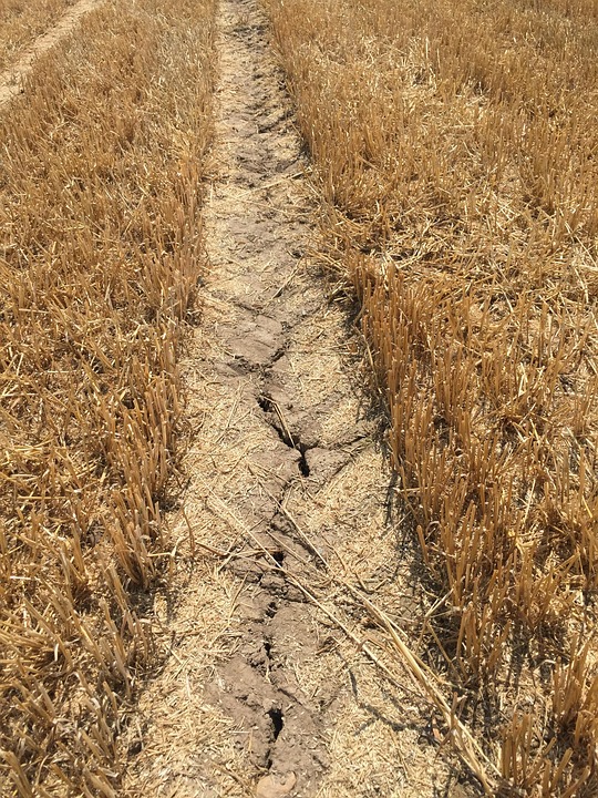Dry Drought Field · Free photo on Pixabay
