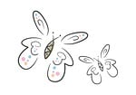 butterflies, two, insect