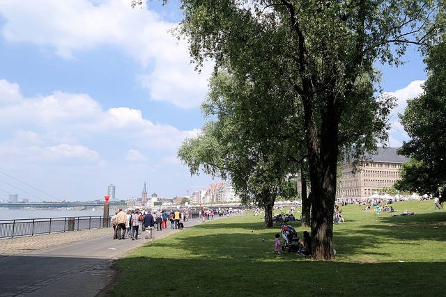 Free Dusseldorf Rhine photo and picture