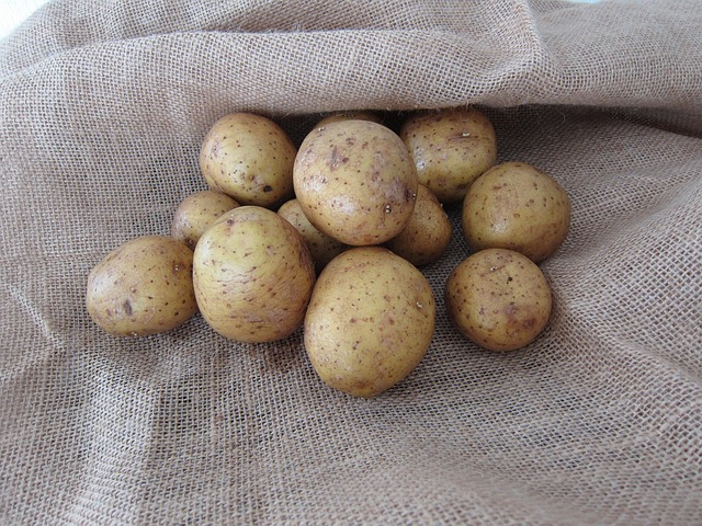 Free Potatoes Fall photo and picture