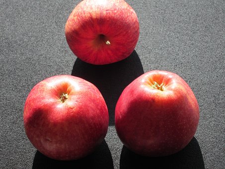 Free Apples Sunlight photo and picture