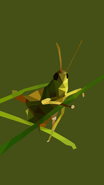 Free Grasshopper Low Poly illustration and picture