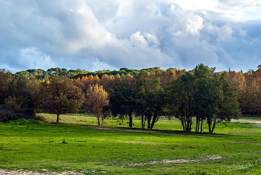 Free Landscape Autumn photo and picture