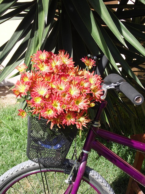 Free Bike Flowers photo and picture