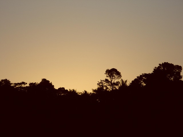 Free Sunset Golden photo and picture
