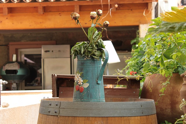 Free Still Life Corsica photo and picture