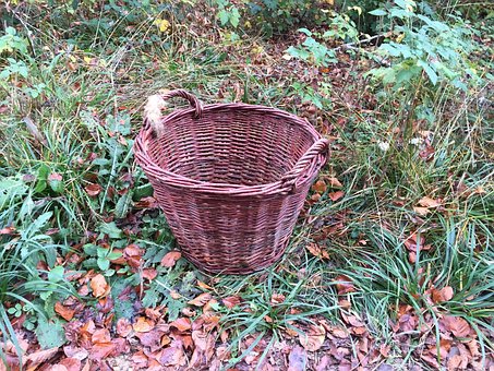 Free Basket Pasture photo and picture