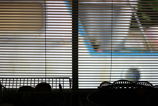 Blind, Schatten, Fenster, Innen, Textur