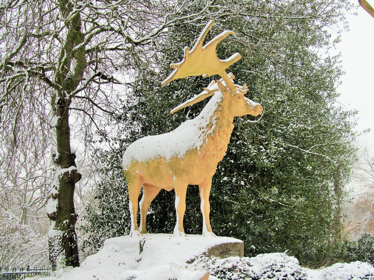 Winter Stagg Stag Snow Winter - Free photo on Pixabay - Pixabay